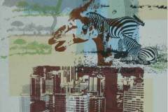 Kenya giraff